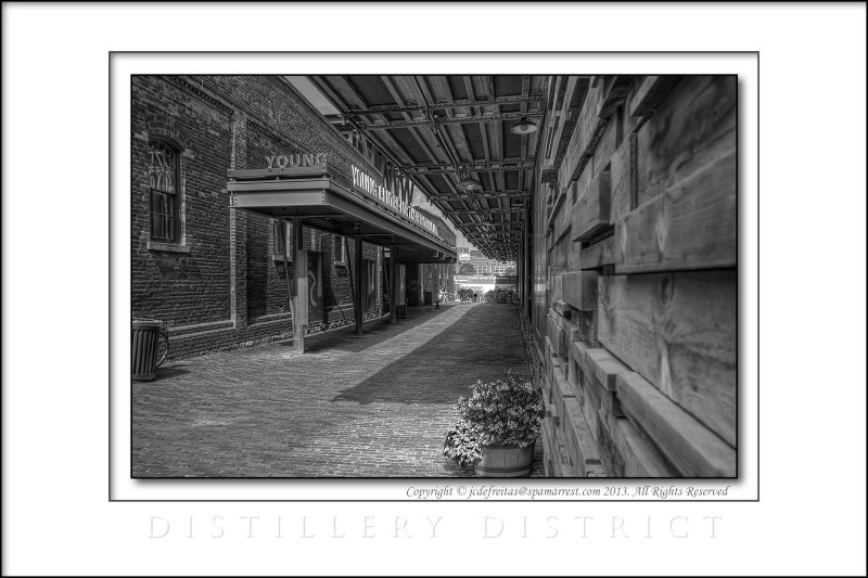 2013 - Toronto, Ontario - Canada