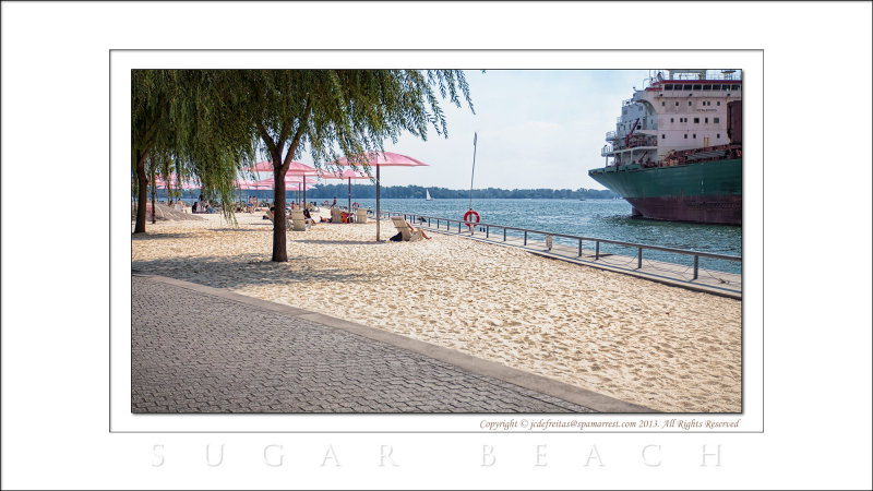 2013 - Toronto, Ontario - Canada