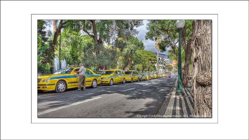 2013 - Avenida Arriaga - Funchal, Madeira - Portugal