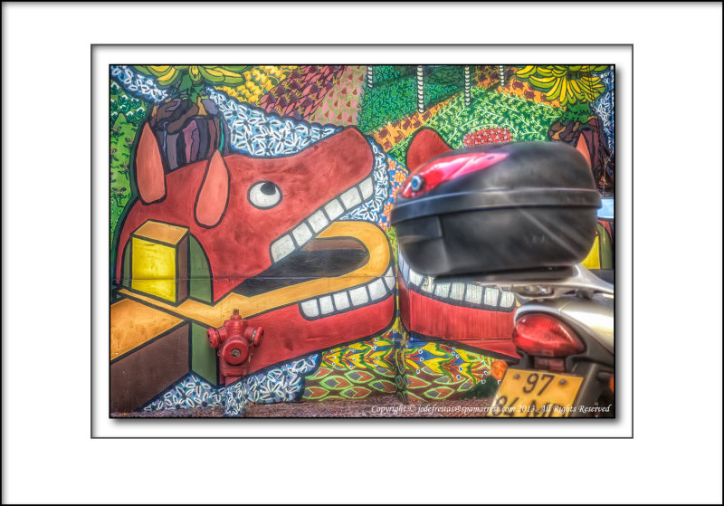 2013 - Mural - Rua Dom Carlos I - Funchal, Madeira - Portugal