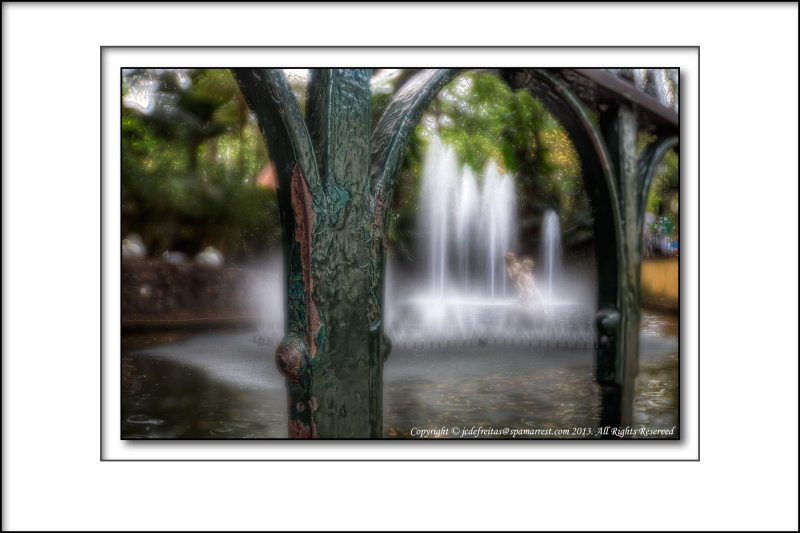 2013 - Jardim Municipal - Funchal, Madeira - Portugal