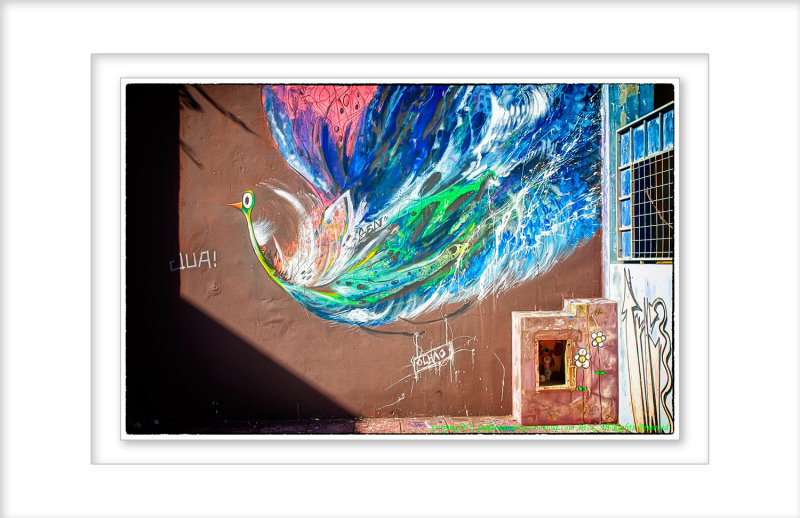 2014 - Street Graffiti in Olhão, Algarve - Portugal