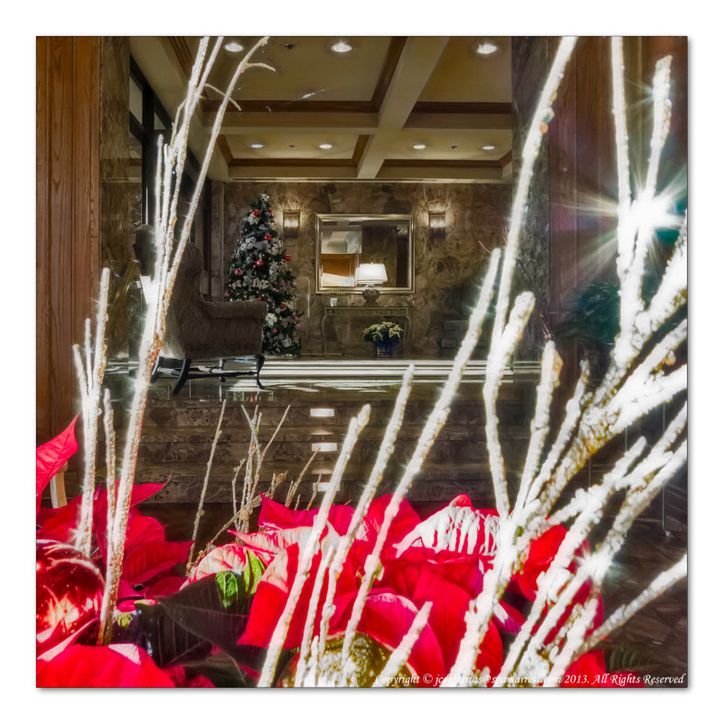 2014 - December in Colour - Toronto, Ontario - Canada