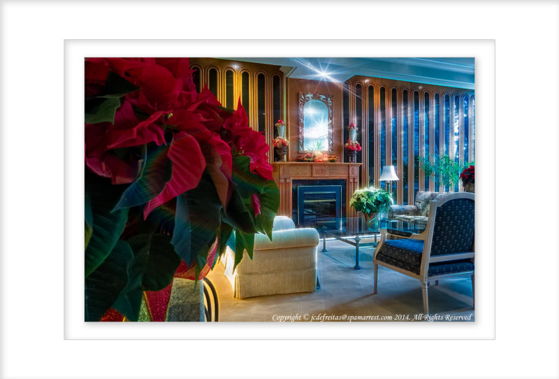 2014 - December in Colour - Toronto, Ontario - Canada