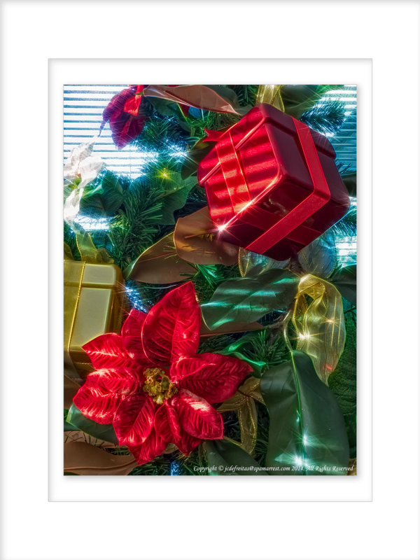 2014 - December in Colour - Toronto, Ontario - Canada