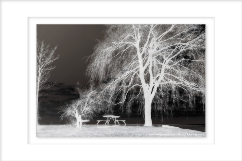 2015 - Scarborough Bluffs - Toronto, Ontario - Canada