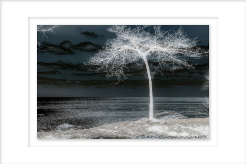 2015 - Scarborough Bluffs - Toronto, Ontario - Canada