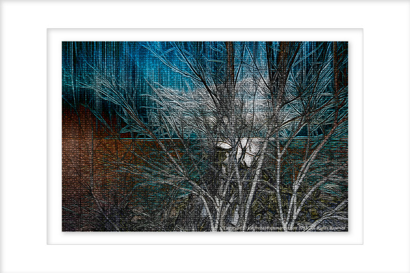 2015 - Cold & Icy