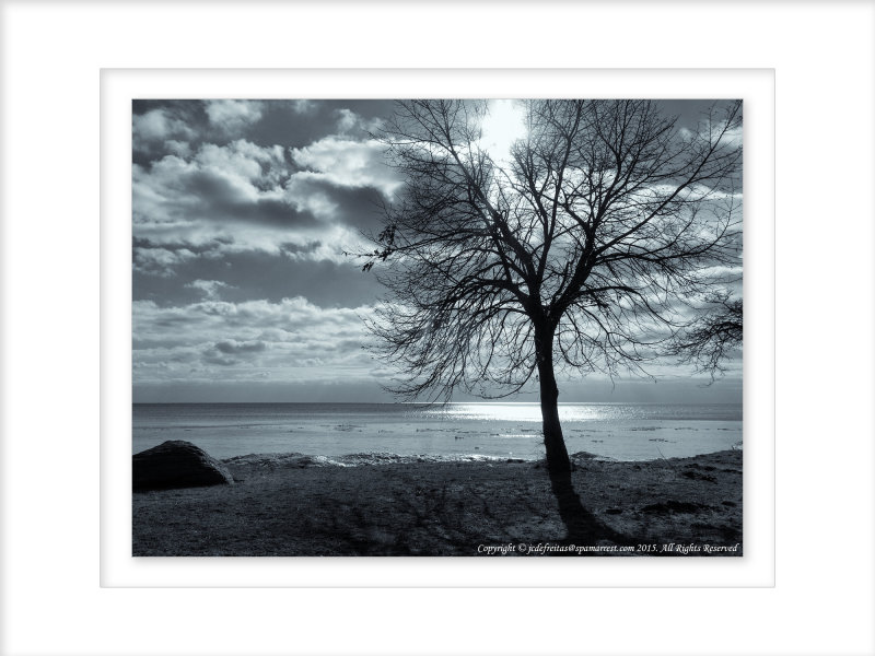 2015 - Scarborough Bluffs - Toronto, Ontario - Canada