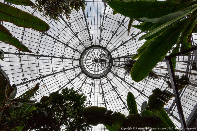 2015 - Allan Gardens - Toronto, Ontario - Canada