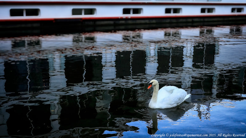 2015 - Moselle River, Bernkastel-Kues - Germany