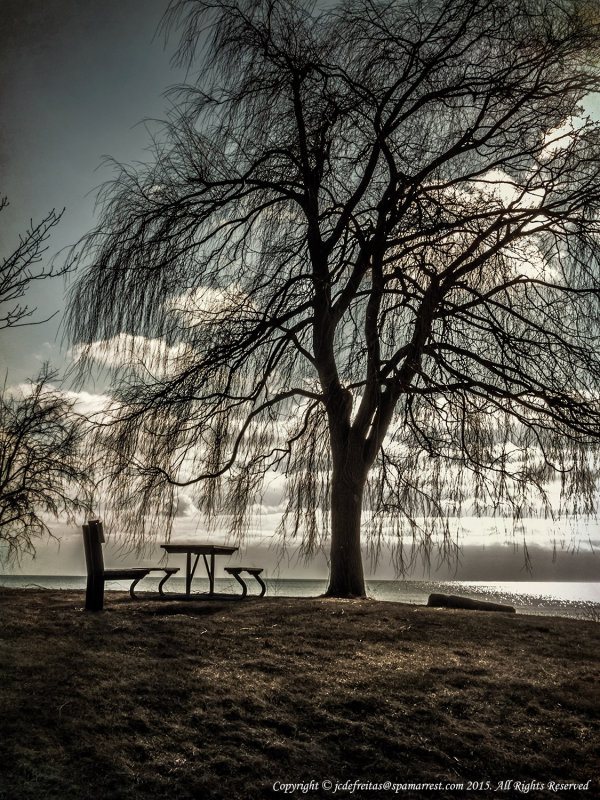 2015 - Scarborough Bluffers Park - Toronto, Ontario - Canada