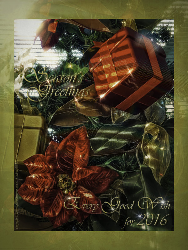 2015 - Seasons Greetings