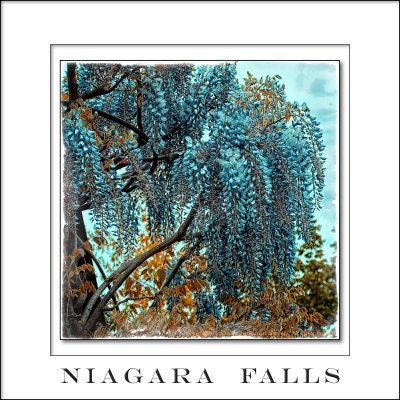 2013 - Niagara Falls, Ontario - Canada