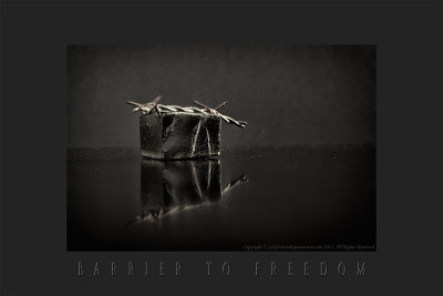 2013 - Freedom
