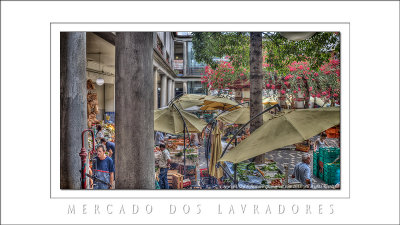 2013 - The Farmers Market - Funchal, Madeira - Portugal