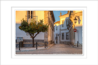 2014 - Vila Adentro - Faro, Algarve - Portugal