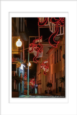2014 - Christmas Street Lights - Funchal, Madeira - Portugal