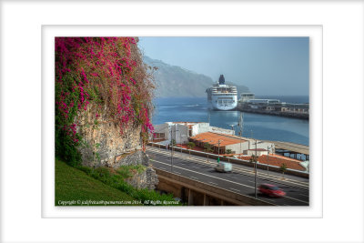 2014 - Funchal Harbour, Madeira - Portugal