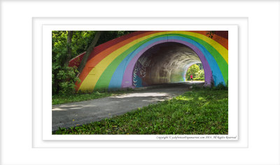 2014 - Rainbow Bridge, Charles Sauriol Conservation Area  - Toronto, Ontario - Canada 