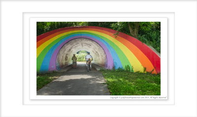 2014 - Rainbow Bridge, Charles Sauriol Conservation Area  - Toronto, Ontario - Canada