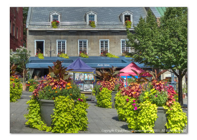 2014 - Old Montreal, Quebec - Canada