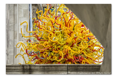 2014 - Musée des Beaux Arts (Dale Chihuly) - Montreal, Quebec - Canada
