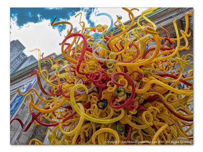 2014 - Musée des Beaux Arts (Dale Chihuly) - Montreal, Quebec - Canada