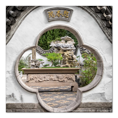 2014 - Bonsai, Chinese Garden - Montreal Botanic Garden, Quebec - Canada
