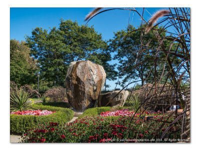 2014 - Rosetta McClain Garden - Toronto, Ontario - Canada