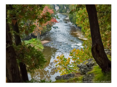 2014 - Autumn Colours - Elora Gorge - Elora, Ontario - Canada