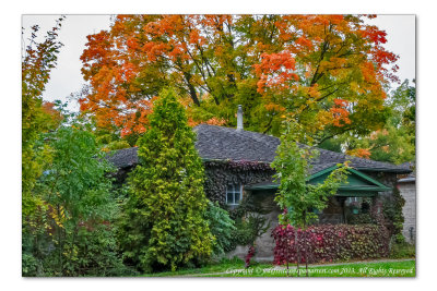 2014 - Autumn Colours - Fergus, Ontario - Canada