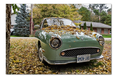 2014 - Nissa Figaro - Elora, Ontario - Canada