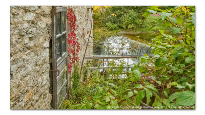 2014 - Autumn Colours, Irvine Creek - Elora, Ontario - Canada
