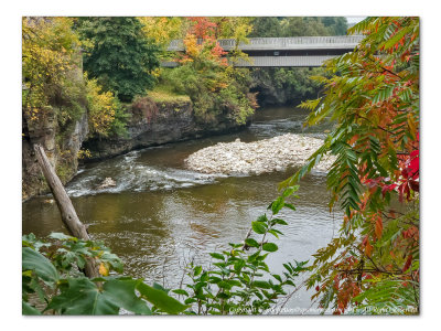 2014 - Autumn Colours, Grand River - Fergus, Ontario - Canada