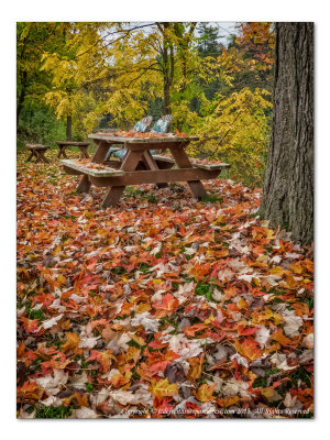 2014 - Autumn Colours - Elora, Ontario - Canada
