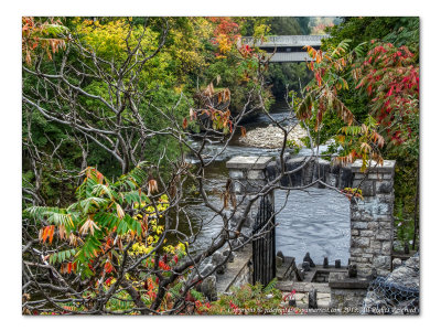 2014 - Autumn Colours, Grand River - Elora, Ontario - Canada
