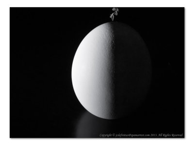 2014 - The dark side of the egg (Month Pbase Photo Challenge, O's in October)
