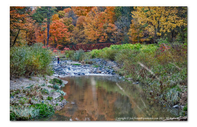 2014 - Autumn Colours, Wilket Creek Park - Toronto, Ontario - Canada