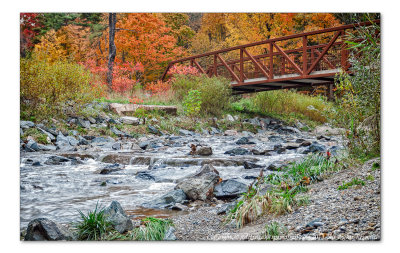 2014 - Autumn Colours, Wilket Creek Park - Toronto, Ontario - Canada