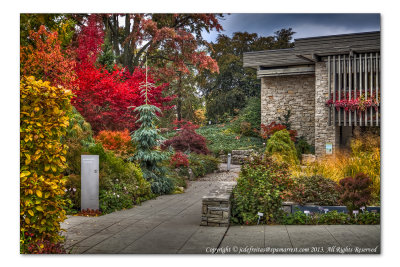 2014 - Autumn Colours - Toronto Botanic Garden (Edwards Garden), Ontario - Canada
