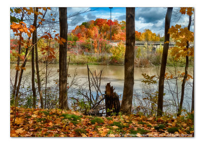 2014 - Autumn Colours - Moccasin Park - Toronto, Ontario - Canada