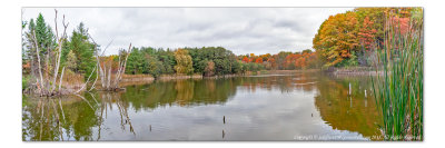 2014 - Autumn Colours - Seton Park (Panorama) - Toronto, Ontario - Canada