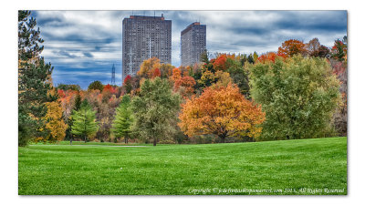 2014 - Autumn Colours - Seton Park - Toronto, Ontario - Canada