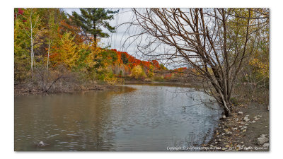 2014 - Autumn Colours - Moccasin Park (Panorama) - Toronto, Ontario - Canada