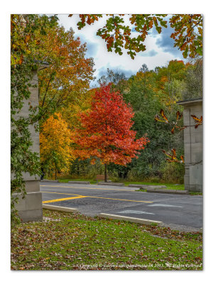 2014 - Autumn Colours, Sunnybrook Park - Toronto, Ontario - Canada