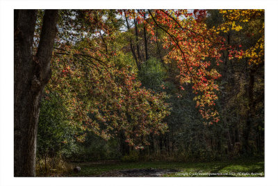 2014 - Autumn Colours, Sunnybrook Park - Toronto, Ontario - Canada