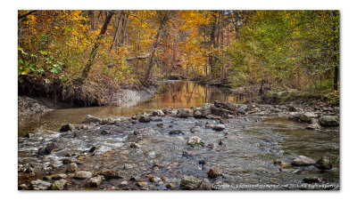 2012 - Autumn Colours, Wilket Creek Park - Toronto, Ontario - Canada