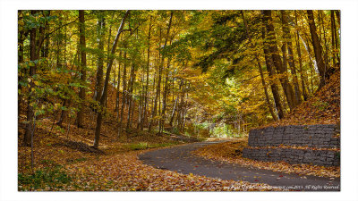 2014 - Autumn Colours - Moccasin Park - Toronto, Ontario - Canada