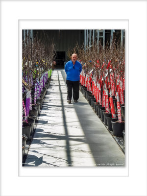 2015 - Spring Journey - Bradford Greenhouses Garden Gallery, Ontario - Canada